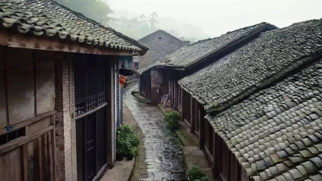 生化危机启示录2